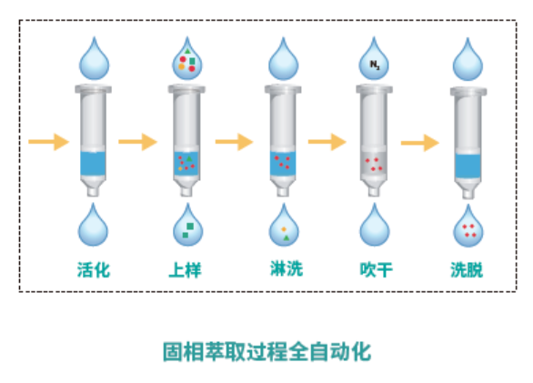 全自動固相萃取全自動化.png